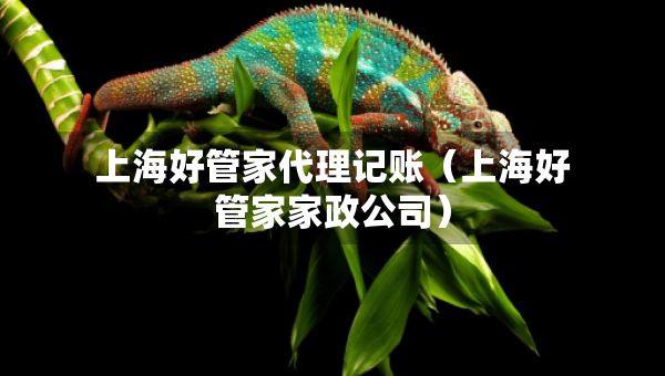 上海好管家代理記賬（上海好管家家政公司）
