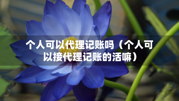 個(gè)人可以代理記賬嗎（個(gè)人可以接代理記賬的活嘛）