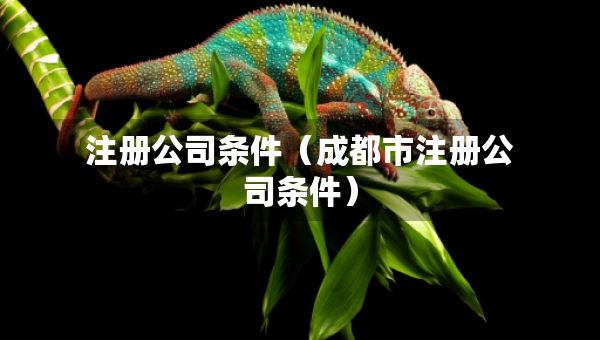 注冊(cè)公司條件（成都市注冊(cè)公司條件）