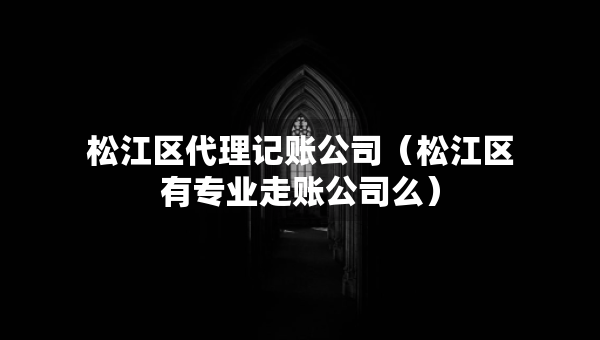 松江區(qū)代理記賬公司（松江區(qū)有專業(yè)走賬公司么）