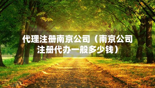 代理注冊南京公司（南京公司注冊代辦一般多少錢）