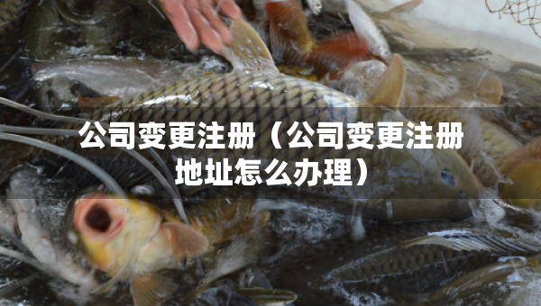 公司變更注冊(cè)（公司變更注冊(cè)地址怎么辦理）