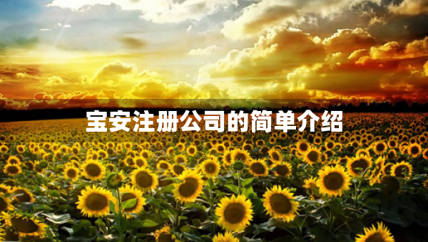 寶安注冊公司的簡單介紹