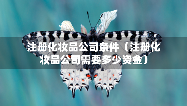 注冊化妝品公司條件（注冊化妝品公司需要多少資金）