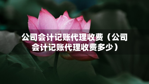 公司會(huì)計(jì)記賬代理收費(fèi)（公司會(huì)計(jì)記賬代理收費(fèi)多少）
