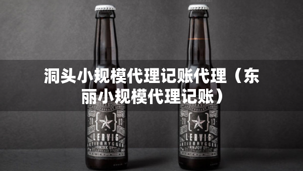 洞頭小規(guī)模代理記賬代理（東麗小規(guī)模代理記賬）