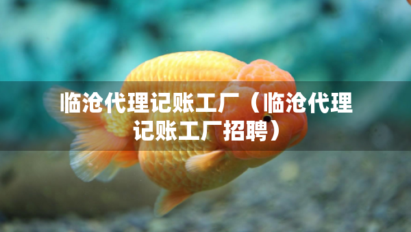 臨滄代理記賬工廠（臨滄代理記賬工廠招聘）