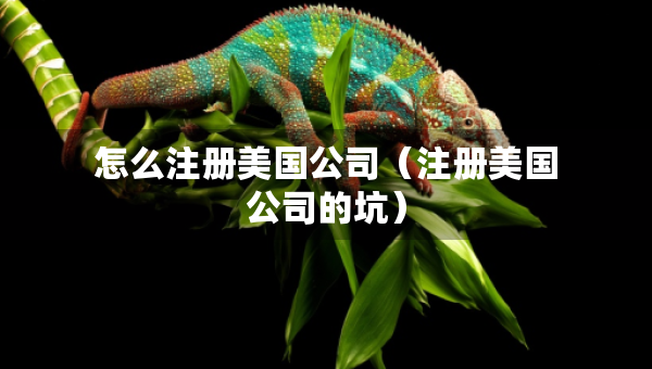 怎么注冊美國公司（注冊美國公司的坑）