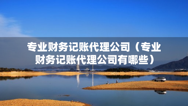 專業(yè)財(cái)務(wù)記賬代理公司（專業(yè)財(cái)務(wù)記賬代理公司有哪些）