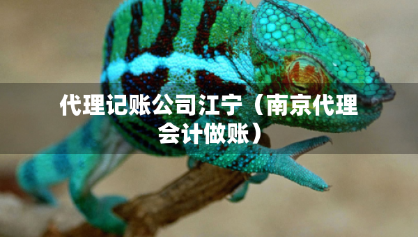 代理記賬公司江寧（南京代理會計做賬）