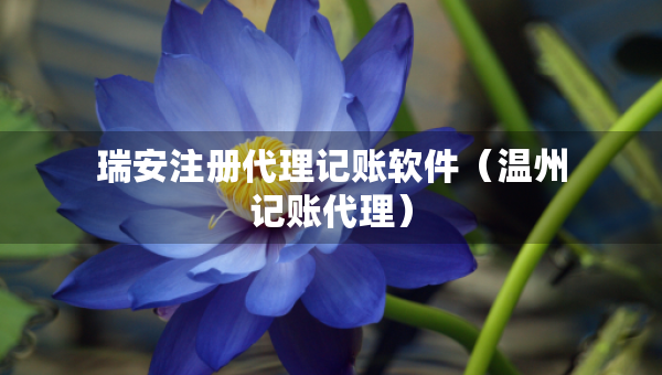 瑞安注冊代理記賬軟件（溫州記賬代理）