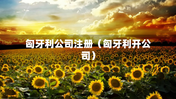 匈牙利公司注冊(cè)（匈牙利開公司）