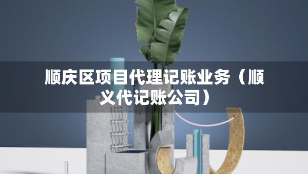 順慶區(qū)項目代理記賬業(yè)務（順義代記賬公司）