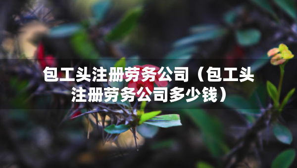 包工頭注冊勞務(wù)公司（包工頭注冊勞務(wù)公司多少錢）