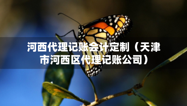 河西代理記賬會(huì)計(jì)定制（天津市河西區(qū)代理記賬公司）