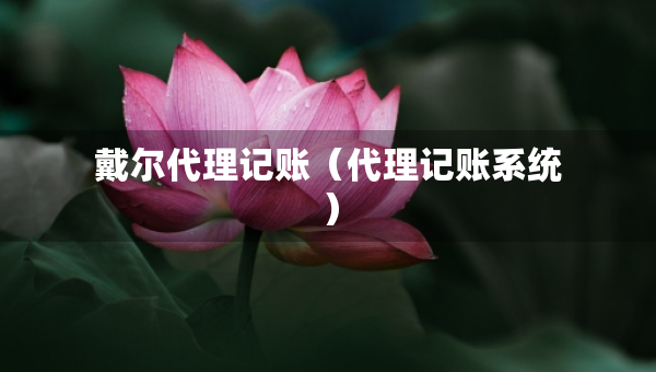 戴爾代理記賬（代理記賬系統(tǒng)）