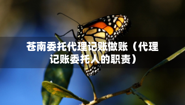 蒼南委托代理記賬做賬（代理記賬委托人的職責）