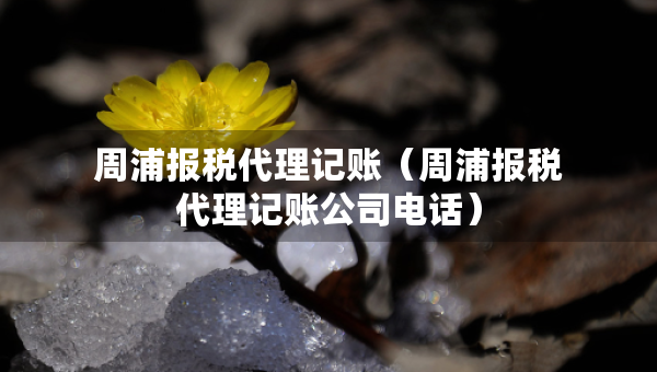周浦報稅代理記賬（周浦報稅代理記賬公司電話）