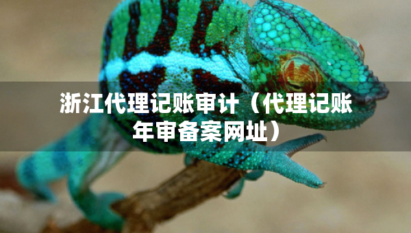 浙江代理記賬審計（代理記賬年審備案網(wǎng)址）