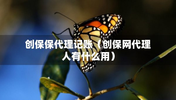 創(chuàng)保保代理記賬（創(chuàng)保網(wǎng)代理人有什么用）