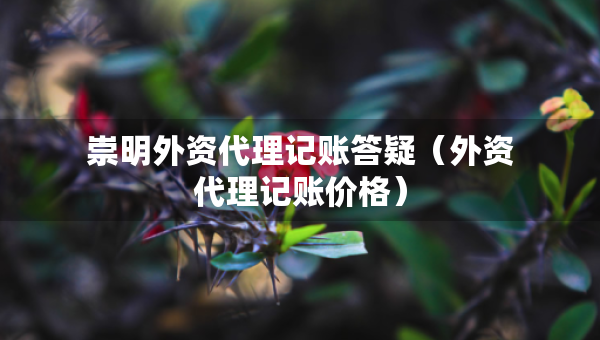 崇明外資代理記賬答疑（外資代理記賬價格）
