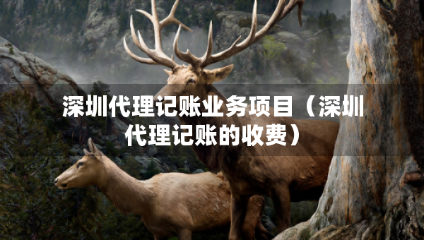 深圳代理記賬業(yè)務(wù)項(xiàng)目（深圳代理記賬的收費(fèi)）