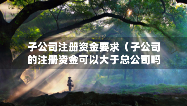 子公司注冊(cè)資金要求（子公司的注冊(cè)資金可以大于總公司嗎?）