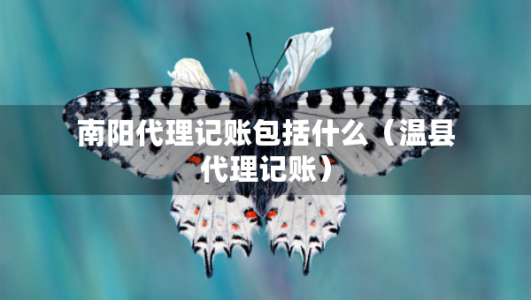 南陽代理記賬包括什么（溫縣代理記賬）
