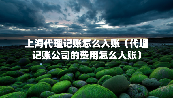 上海代理記賬怎么入賬（代理記賬公司的費(fèi)用怎么入賬）