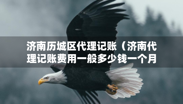 濟(jì)南歷城區(qū)代理記賬（濟(jì)南代理記賬費(fèi)用一般多少錢一個(gè)月）
