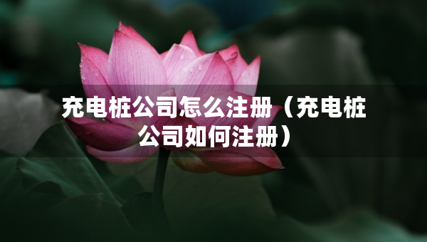 充電樁公司怎么注冊（充電樁公司如何注冊）