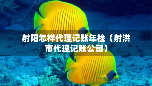 射陽怎樣代理記賬年檢（射洪市代理記賬公司）