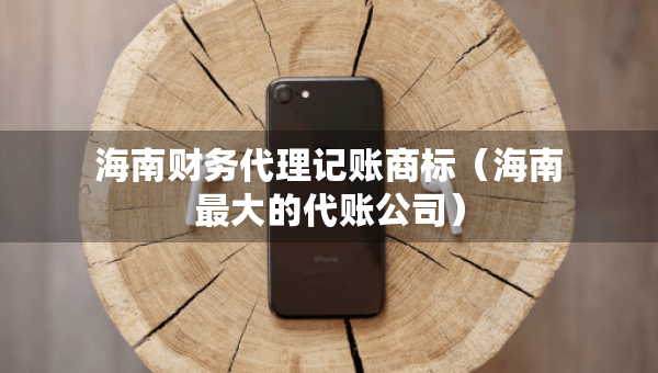 海南財(cái)務(wù)代理記賬商標(biāo)（海南最大的代賬公司）