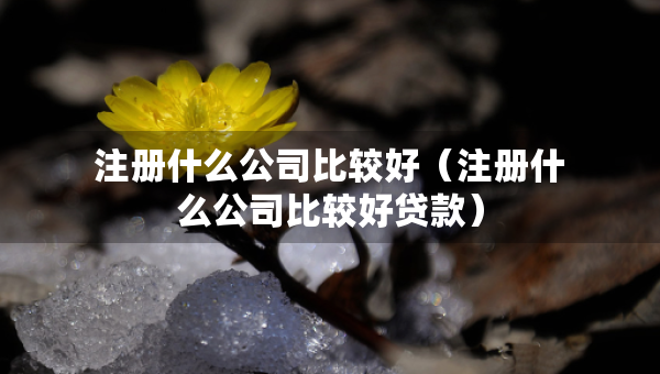 注冊什么公司比較好（注冊什么公司比較好貸款）