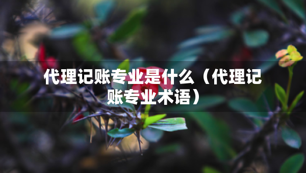 代理記賬專業(yè)是什么（代理記賬專業(yè)術(shù)語）