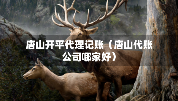 唐山開平代理記賬（唐山代賬公司哪家好）