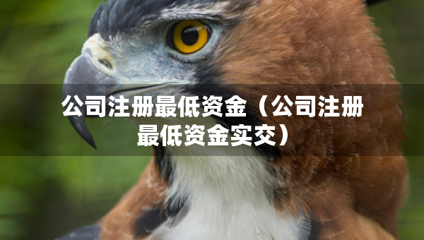 公司注冊(cè)最低資金（公司注冊(cè)最低資金實(shí)交）