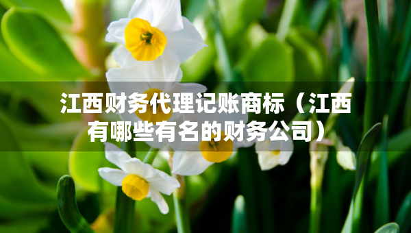 江西財務(wù)代理記賬商標(biāo)（江西有哪些有名的財務(wù)公司）