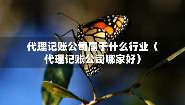 代理記賬公司屬于什么行業(yè)（代理記賬公司哪家好）