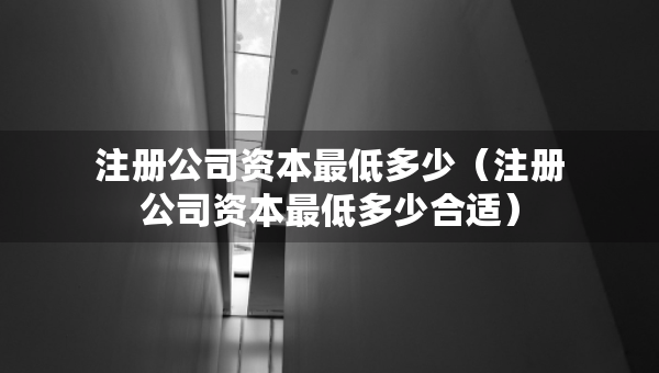 注冊(cè)公司資本最低多少（注冊(cè)公司資本最低多少合適）