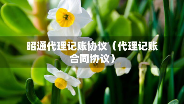 昭通代理記賬協(xié)議（代理記賬合同協(xié)議）