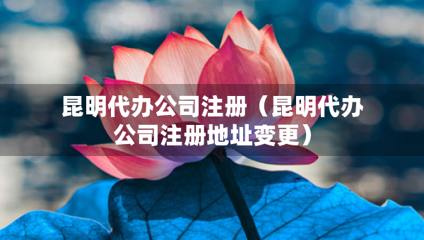 昆明代辦公司注冊（昆明代辦公司注冊地址變更）