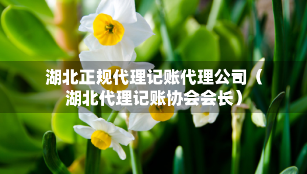 湖北正規(guī)代理記賬代理公司（湖北代理記賬協(xié)會會長）