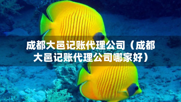 成都大邑記賬代理公司（成都大邑記賬代理公司哪家好）