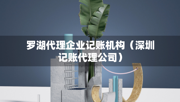 羅湖代理企業(yè)記賬機(jī)構(gòu)（深圳記賬代理公司）