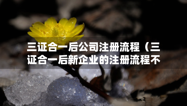 三證合一后公司注冊流程（三證合一后新企業(yè)的注冊流程不包括領(lǐng)取執(zhí)照）