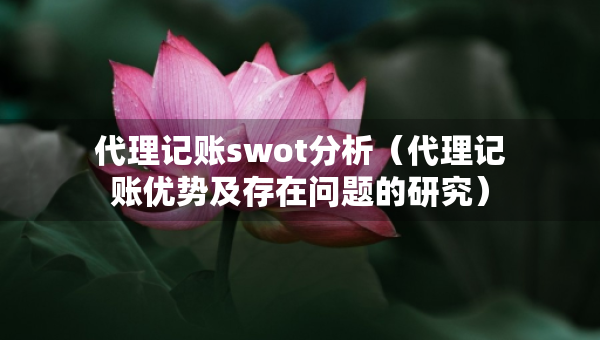 代理記賬swot分析（代理記賬優(yōu)勢及存在問題的研究）