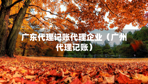 廣東代理記賬代理企業(yè)（廣州代理記賬）