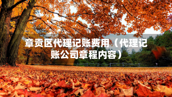 章貢區(qū)代理記賬費(fèi)用（代理記賬公司章程內(nèi)容）