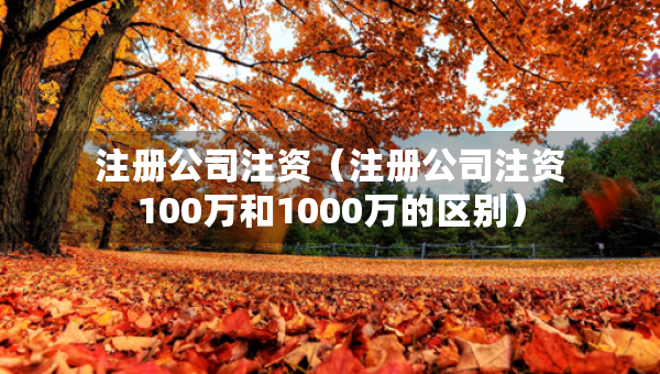 注冊(cè)公司注資（注冊(cè)公司注資100萬和1000萬的區(qū)別）